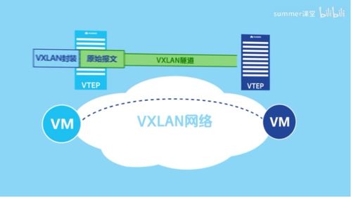 VXLAN通信原理與應(yīng)用場(chǎng)景 網(wǎng)絡(luò)與信息安全軟件開(kāi)發(fā)視角